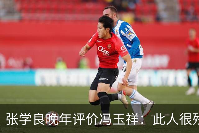 张学良晚年评价冯玉祥：此人很残忍、谎话连篇，我这辈子做不出他做的事！